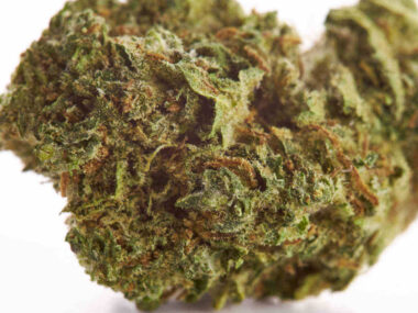 Cogollos en Bulk Strawberry Amnesia CBD - Imagen 6