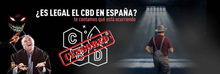 legalitat cbd espana 4collectors