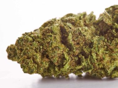 small premium CBD