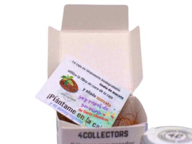 Bálsamo CBD biodegradable