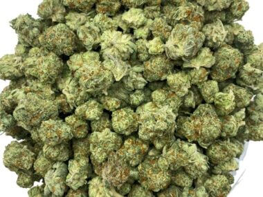cogollos bulk gorilla glue