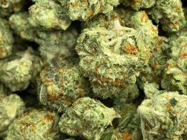cogollos cbd gorilla gue bulk