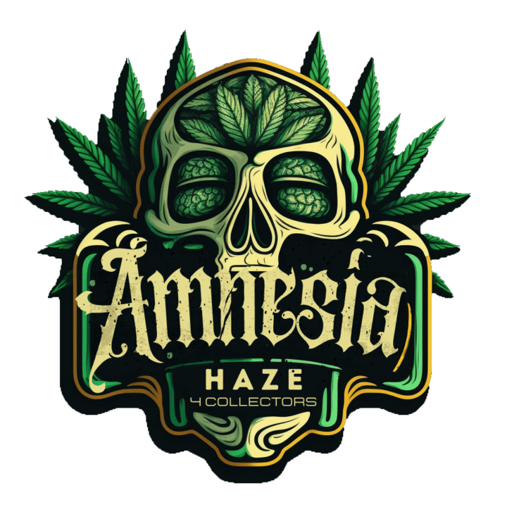 Amnesia Haze 4Collectors
