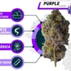 Mejor Purple Haze CBD