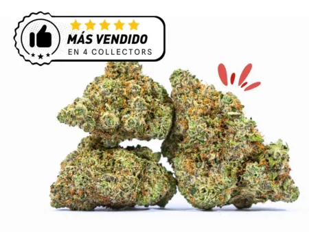 Variedad más vendida de CBD españa