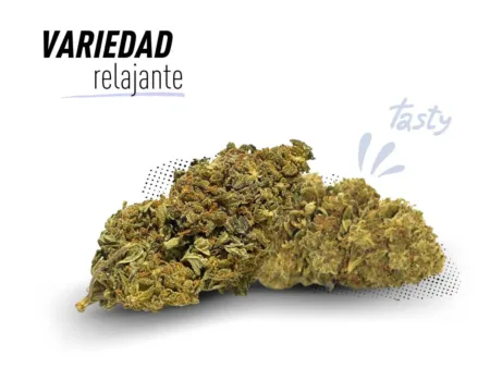 Variedad de Amnesia Haze con efectos relajantes.