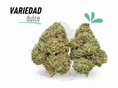 La variedad más dulce de CBD que podrás encontrar.