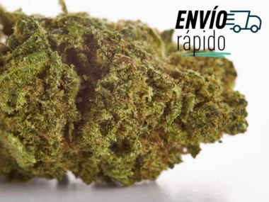 El envío más rápido de España de CBD.