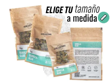EL mejor CBD de bolsillo