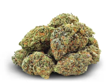 El mejor CBD de Strawberry Amensia en formato bulk