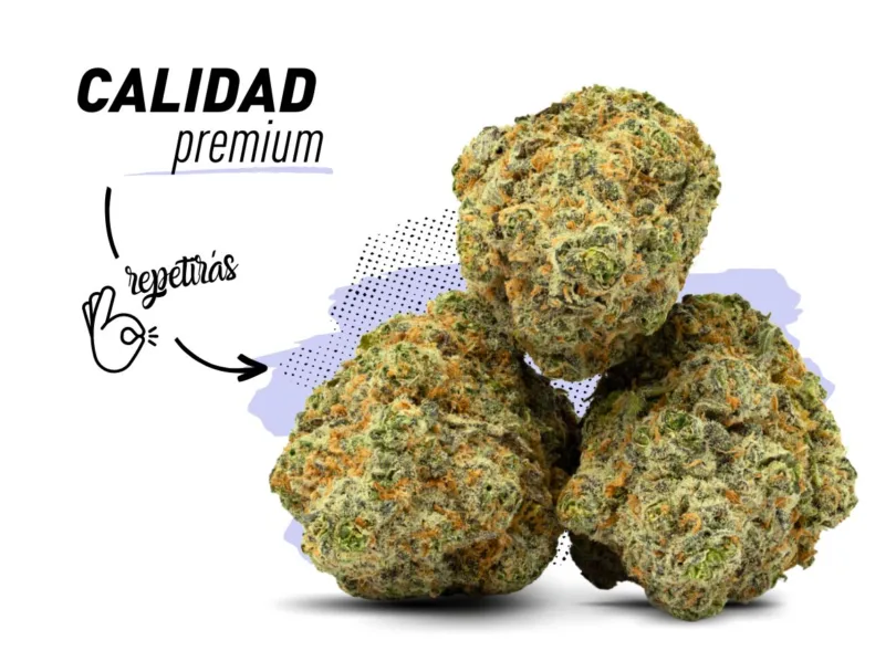 CBD premium. Las mejores flores resinosas y compactas del mercado. Envíos a toda España.
